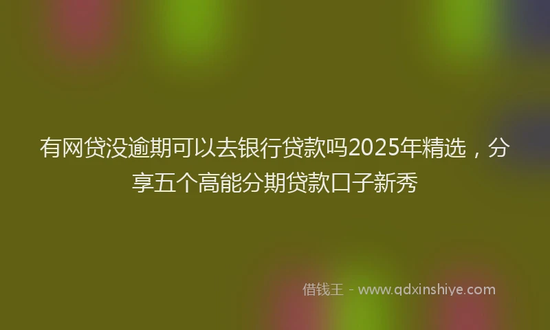 有网贷没逾期可以去银行贷款吗2025年精选，分享五个高能分期贷款口子新秀