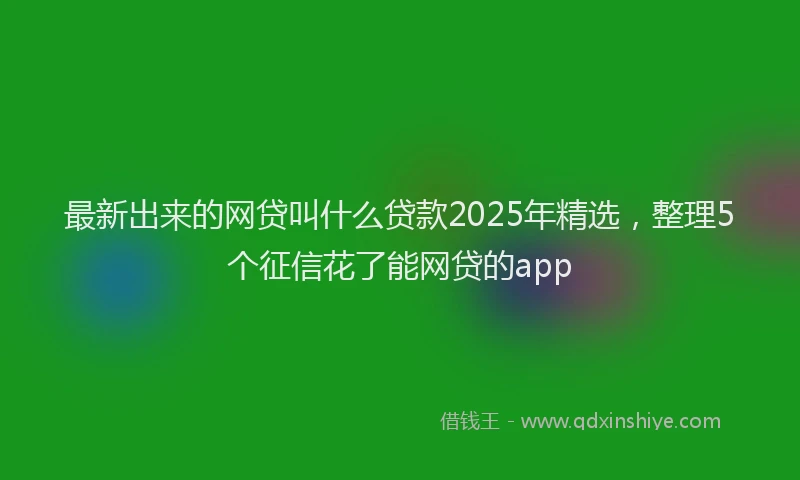 最新出来的网贷叫什么贷款2025年精选，整理5个征信花了能网贷的app