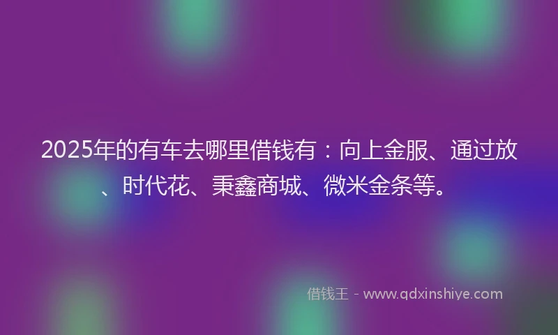 2025年的有车去哪里借钱有：向上金服、通过放、时代花、秉鑫商城、微米金条等。