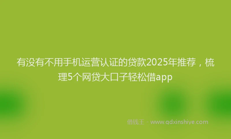 有没有不用手机运营认证的贷款2025年推荐，梳理5个网贷大口子轻松借app