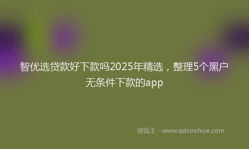 智优选贷款好下款吗2025年精选，整理5个黑户无条件下款的app