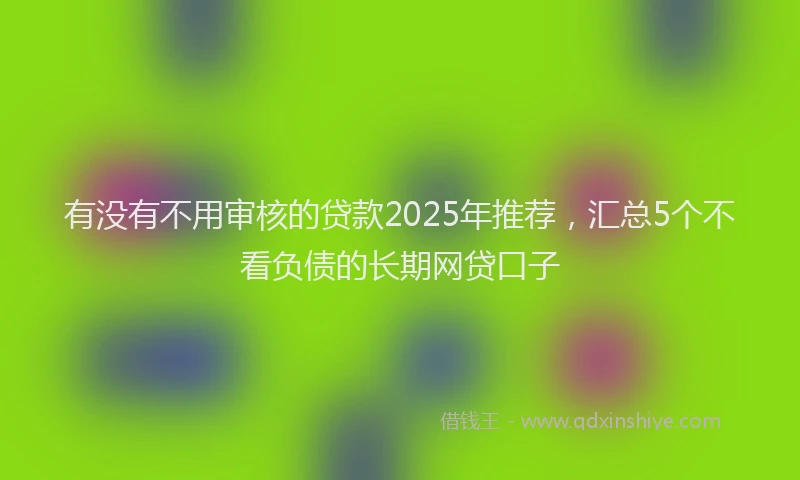 有没有不用审核的贷款2025年推荐，汇总5个不看负债的长期网贷口子