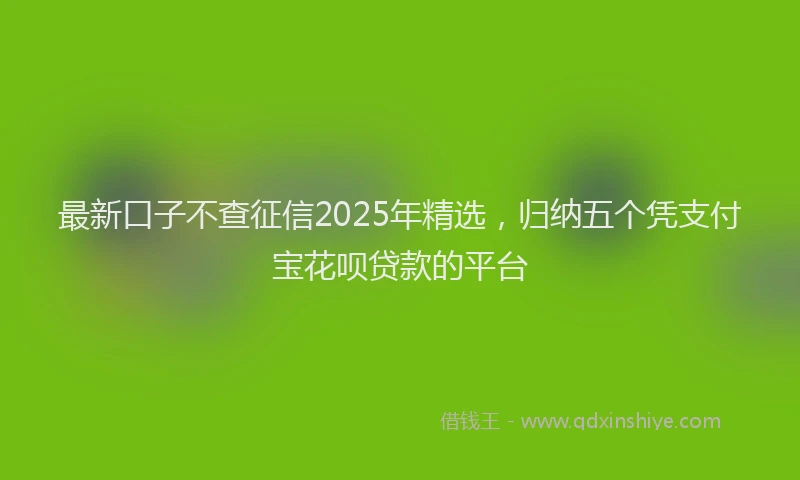 最新口子不查征信2025年精选，归纳五个凭支付宝花呗贷款的平台