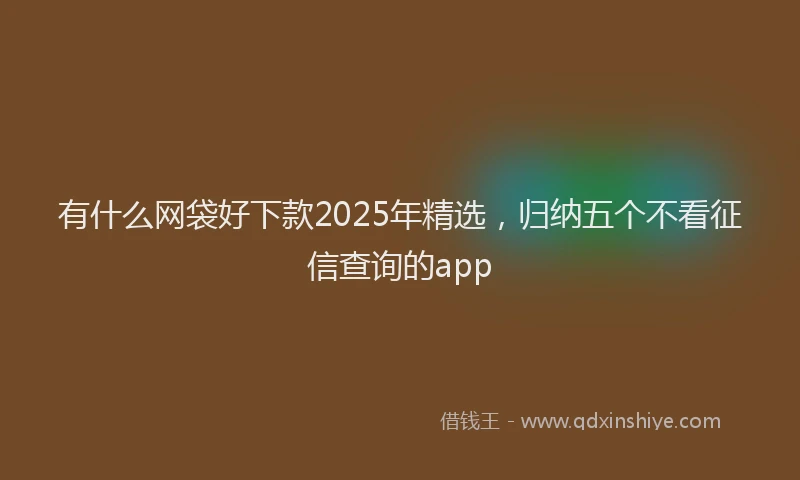 有什么网袋好下款2025年精选，归纳五个不看征信查询的app