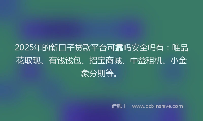 2025年的新口子贷款平台可靠吗安全吗有：唯品花取现、有钱钱包、招宝商城、中益租机、小金象分期等。