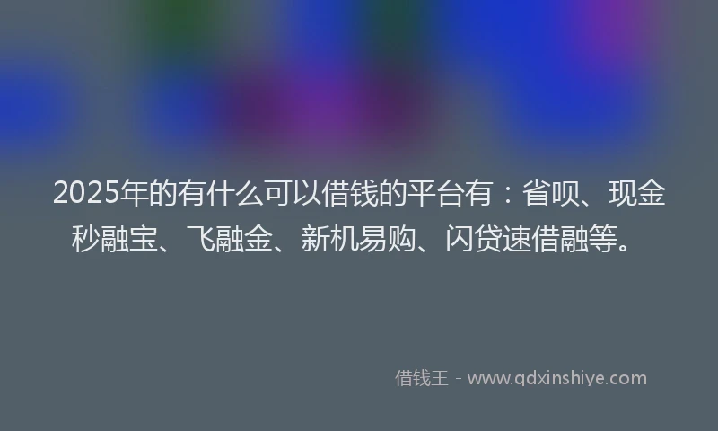 2025年的有什么可以借钱的平台有：省呗、现金秒融宝、飞融金、新机易购、闪贷速借融等。
