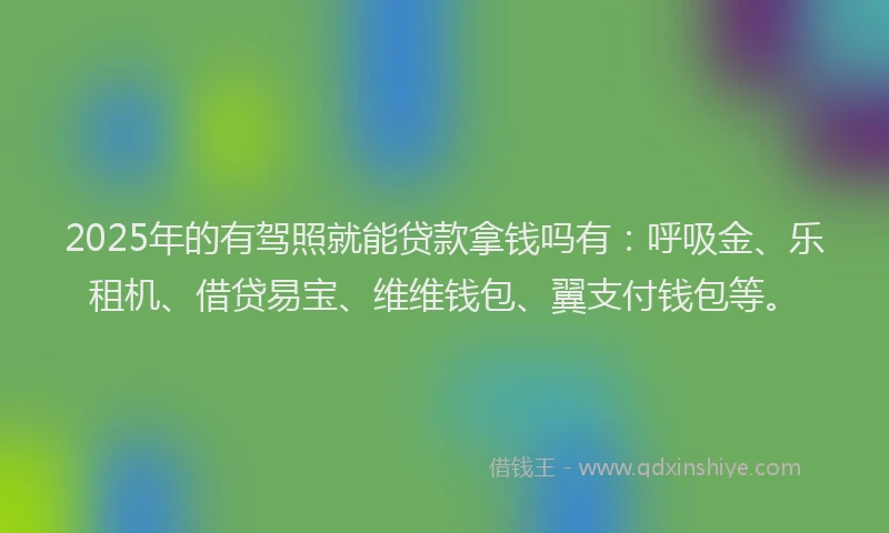 2025年的有驾照就能贷款拿钱吗有：呼吸金、乐租机、借贷易宝、维维钱包、翼支付钱包等。