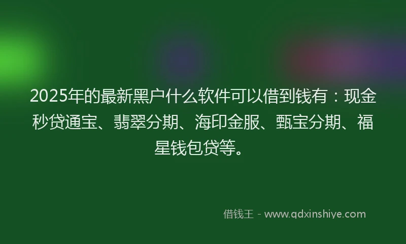 2025年的最新黑户什么软件可以借到钱有：现金秒贷通宝、翡翠分期、海印金服、甄宝分期、福星钱包贷等。