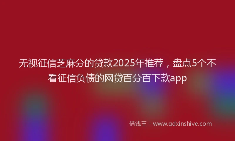 无视征信芝麻分的贷款2025年推荐，盘点5个不看征信负债的网贷百分百下款app
