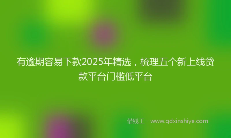 有逾期容易下款2025年精选，梳理五个新上线贷款平台门槛低平台