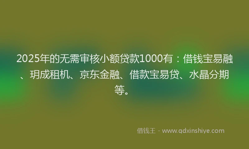 2025年的无需审核小额贷款1000有：借钱宝易融、玥成租机、京东金融、借款宝易贷、水晶分期等。
