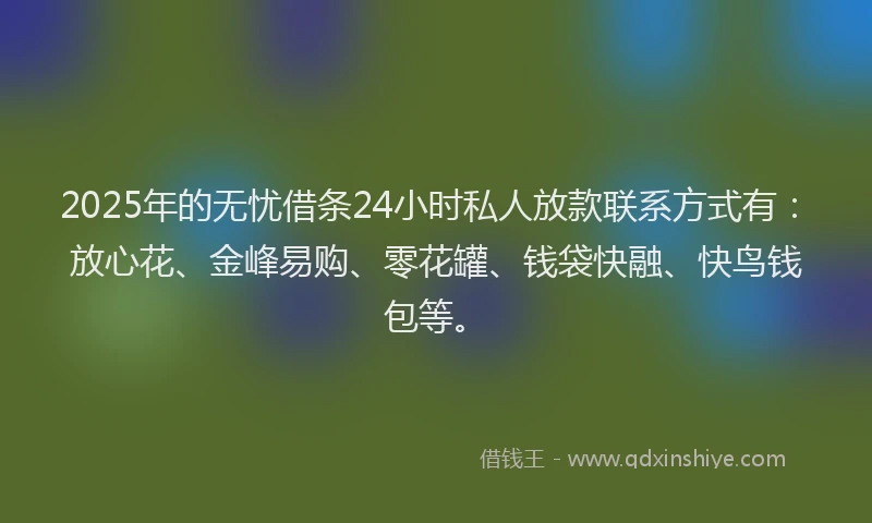 2025年的无忧借条24小时私人放款联系方式有：放心花、金峰易购、零花罐、钱袋快融、快鸟钱包等。