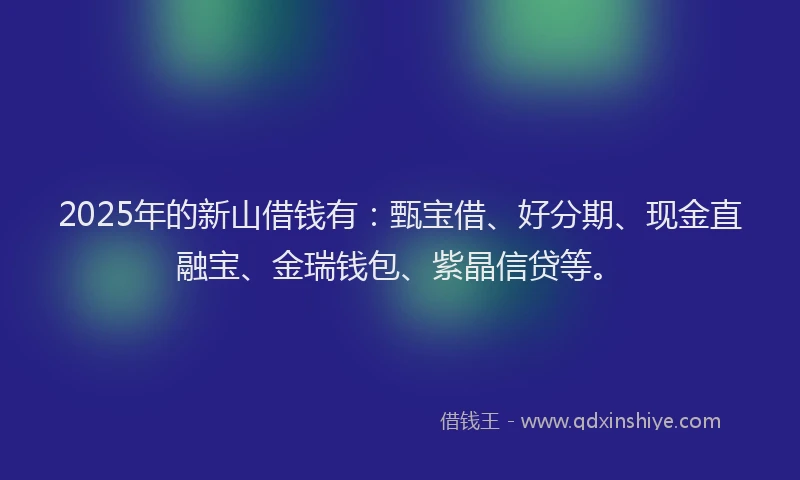 2025年的新山借钱有：甄宝借、好分期、现金直融宝、金瑞钱包、紫晶信贷等。