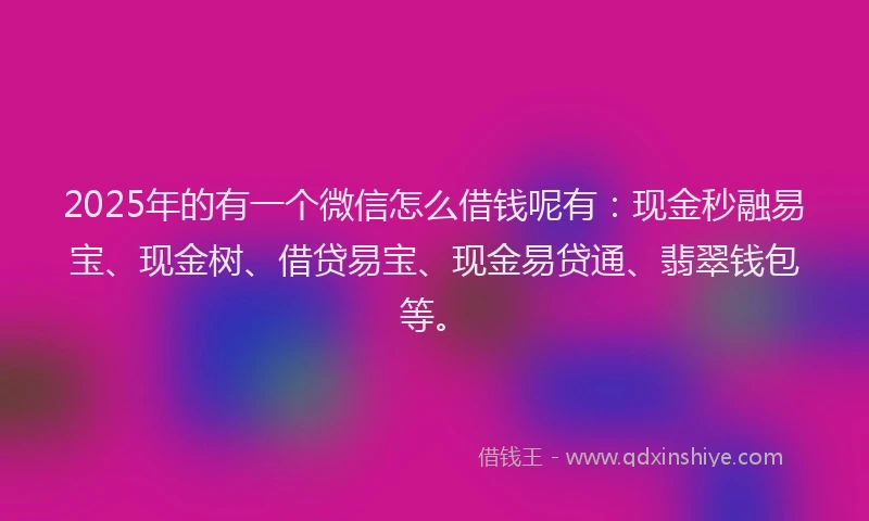 2025年的有一个微信怎么借钱呢有：现金秒融易宝、现金树、借贷易宝、现金易贷通、翡翠钱包等。