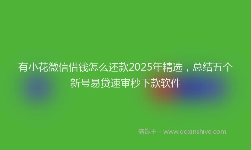 有小花微信借钱怎么还款2025年精选，总结五个新号易贷速审秒下款软件