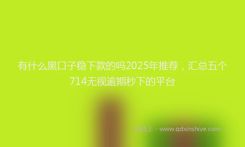 有什么黑口子稳下款的吗2025年推荐，汇总五个714无视逾期秒下的平台