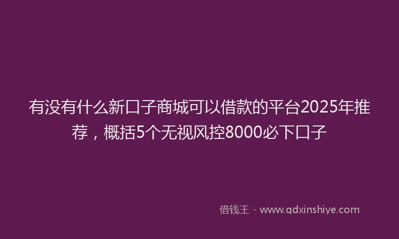 有没有什么新口子商城可以借款的平台2025年推荐，概括5个无视风控8000必下口子