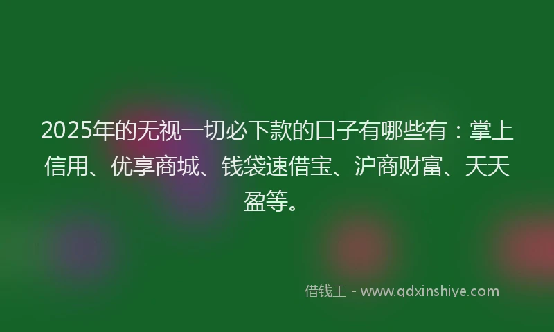 2025年的无视一切必下款的口子有哪些有：掌上信用、优享商城、钱袋速借宝、沪商财富、天天盈等。