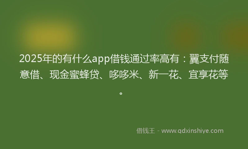 2025年的有什么app借钱通过率高有：翼支付随意借、现金蜜蜂贷、哆哆米、新一花、宜享花等。