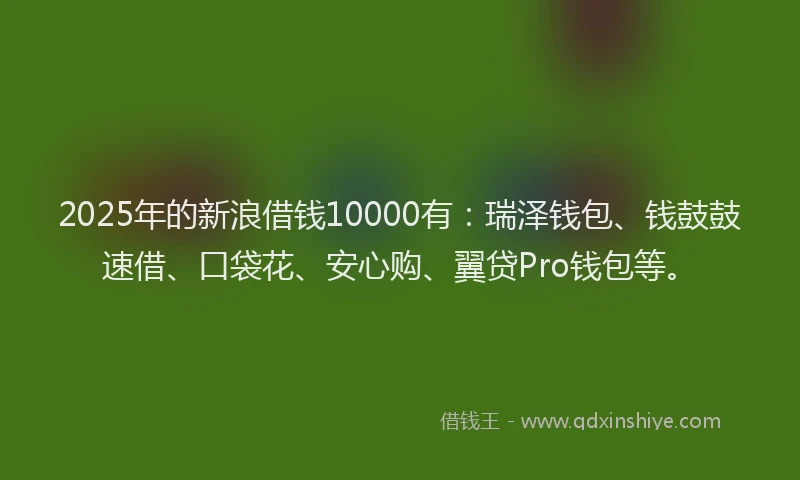 2025年的新浪借钱10000有：瑞泽钱包、钱鼓鼓速借、口袋花、安心购、翼贷Pro钱包等。