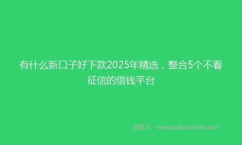 有什么新口子好下款2025年精选，整合5个不看征信的借钱平台