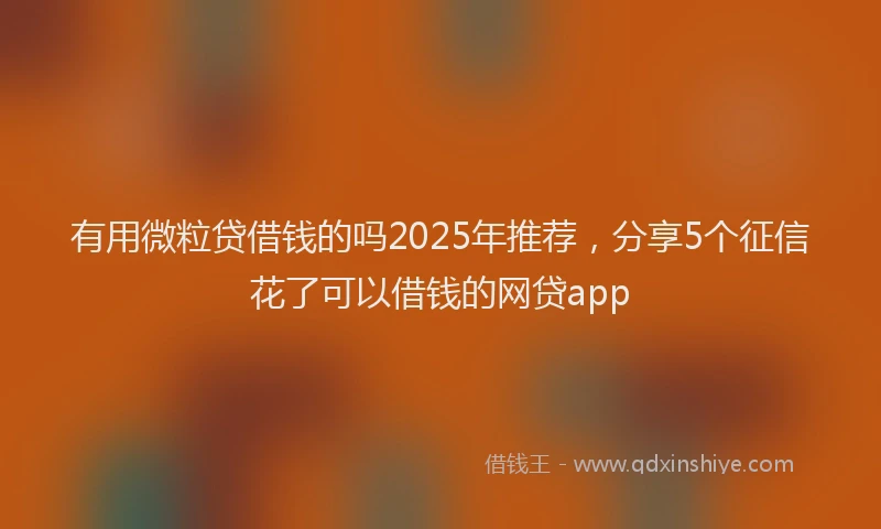 有用微粒贷借钱的吗2025年推荐，分享5个征信花了可以借钱的网贷app