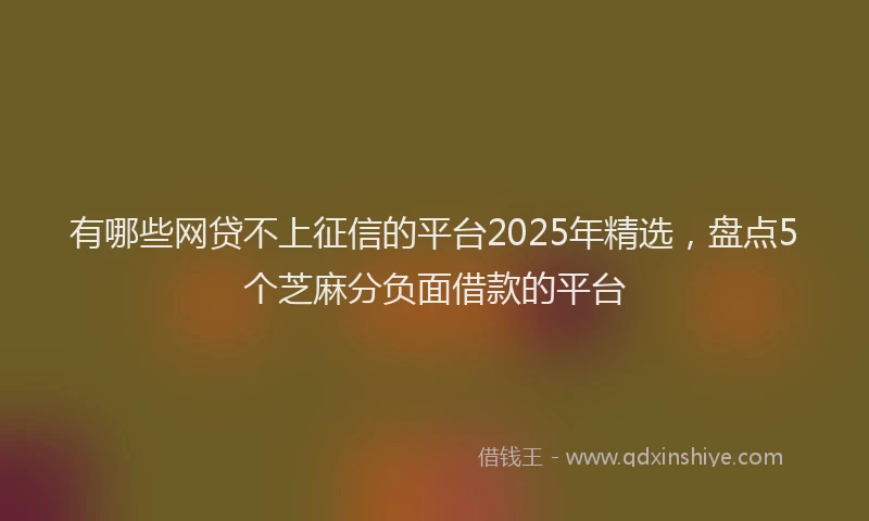 有哪些网贷不上征信的平台2025年精选，盘点5个芝麻分负面借款的平台