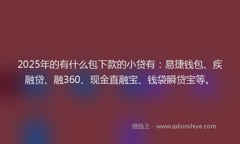 2025年的有什么包下款的小贷有：易捷钱包、疾融贷、融360、现金直融宝、钱袋瞬贷宝等。