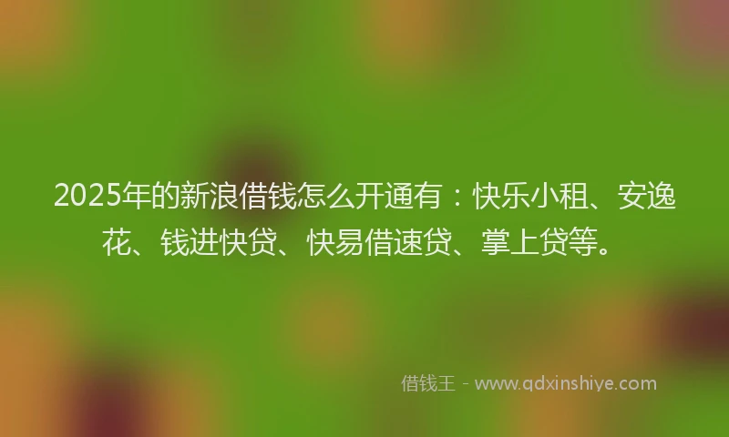2025年的新浪借钱怎么开通有：快乐小租、安逸花、钱进快贷、快易借速贷、掌上贷等。