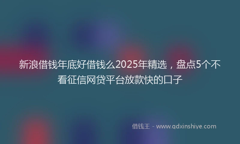 新浪借钱年底好借钱么2025年精选，盘点5个不看征信网贷平台放款快的口子