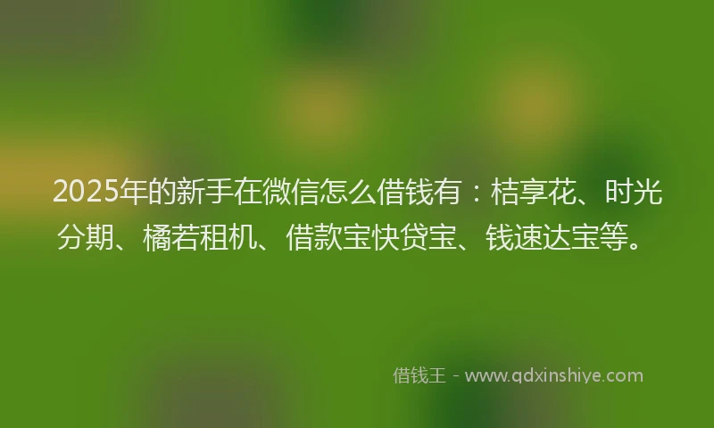 2025年的新手在微信怎么借钱有：桔享花、时光分期、橘若租机、借款宝快贷宝、钱速达宝等。