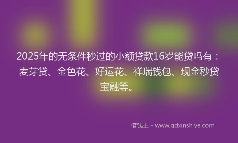 2025年的无条件秒过的小额贷款16岁能贷吗有：麦芽贷、金色花、好运花、祥瑞钱包、现金秒贷宝融等。