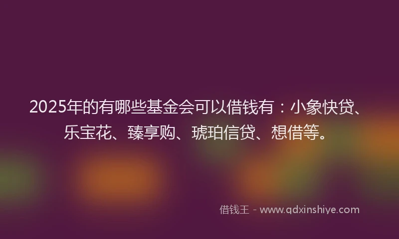 2025年的有哪些基金会可以借钱有：小象快贷、乐宝花、臻享购、琥珀信贷、想借等。