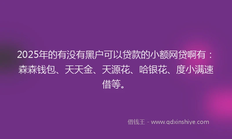 2025年的有没有黑户可以贷款的小额网贷啊有：森森钱包、天天金、天源花、哈银花、度小满速借等。