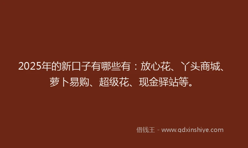 2025年的新口子有哪些有：放心花、丫头商城、萝卜易购、超级花、现金驿站等。
