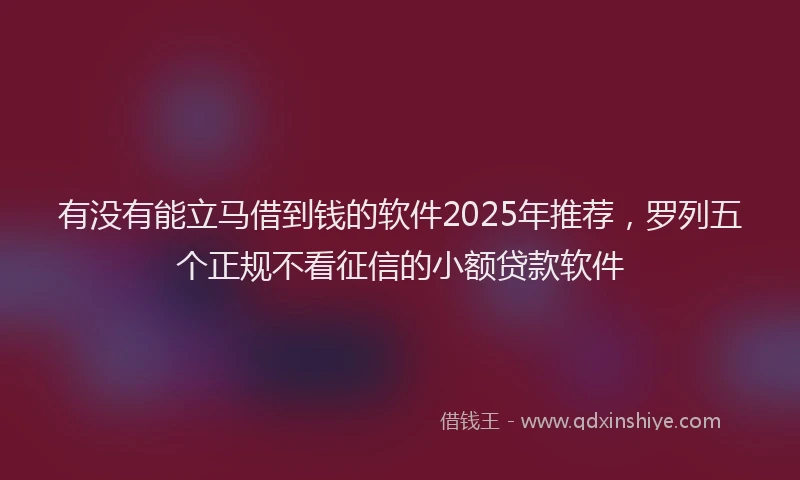 有没有能立马借到钱的软件2025年推荐，罗列五个正规不看征信的小额贷款软件