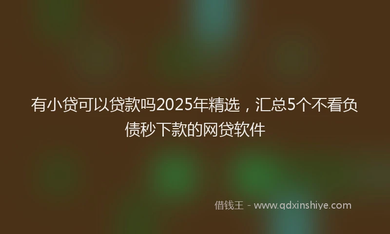 有小贷可以贷款吗2025年精选，汇总5个不看负债秒下款的网贷软件
