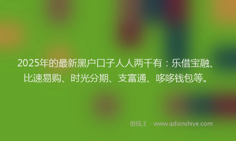 2025年的最新黑户口子人人两千有：乐借宝融、比速易购、时光分期、支富通、哆哆钱包等。