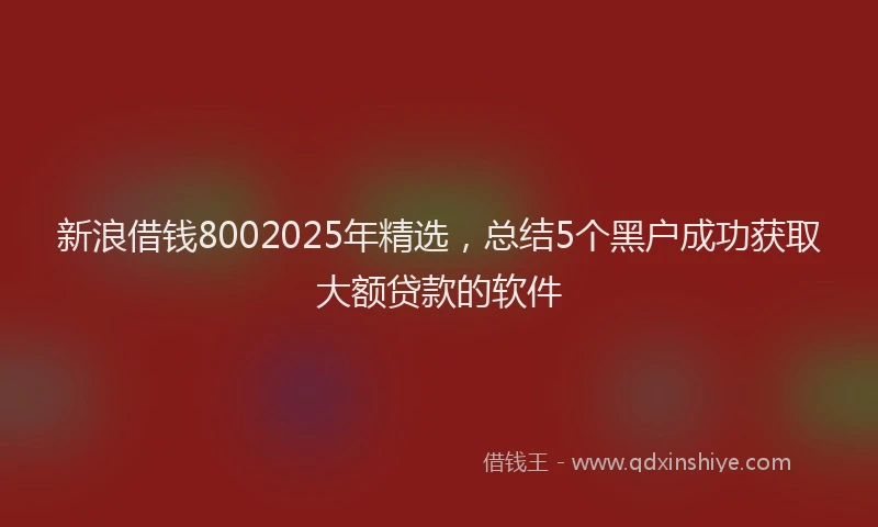 新浪借钱8002025年精选，总结5个黑户成功获取大额贷款的软件