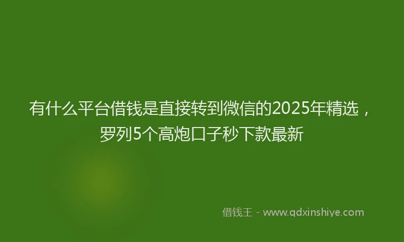 有什么平台借钱是直接转到微信的2025年精选，罗列5个高炮口子秒下款最新