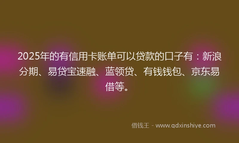 2025年的有信用卡账单可以贷款的口子有：新浪分期、易贷宝速融、蓝领贷、有钱钱包、京东易借等。