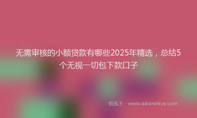 无需审核的小额贷款有哪些2025年精选，总结5个无视一切包下款口子
