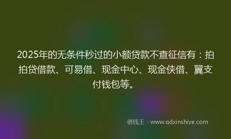 2025年的无条件秒过的小额贷款不查征信有：拍拍贷借款、可易借、现金中心、现金侠借、翼支付钱包等。