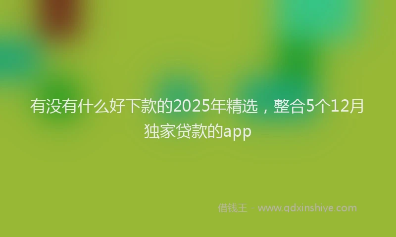有没有什么好下款的2025年精选，整合5个12月独家贷款的app