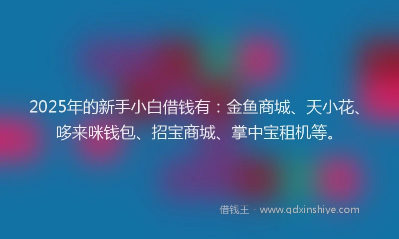 2025年的新手小白借钱有：金鱼商城、天小花、哆来咪钱包、招宝商城、掌中宝租机等。