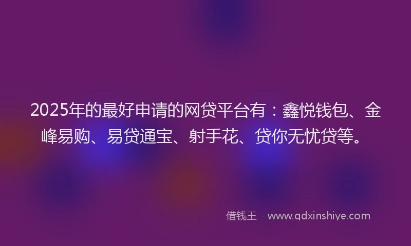 2025年的最好申请的网贷平台有：鑫悦钱包、金峰易购、易贷通宝、射手花、贷你无忧贷等。