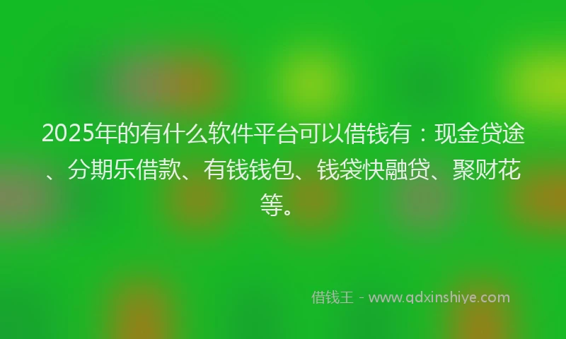 2025年的有什么软件平台可以借钱有：现金贷途、分期乐借款、有钱钱包、钱袋快融贷、聚财花等。