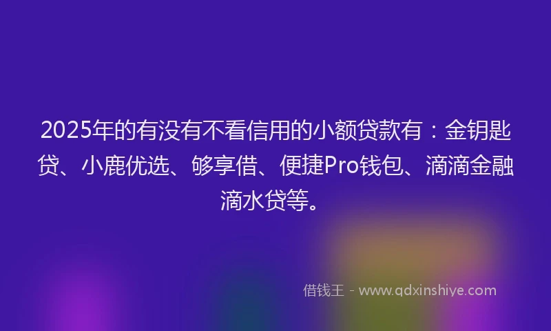 2025年的有没有不看信用的小额贷款有：金钥匙贷、小鹿优选、够享借、便捷Pro钱包、滴滴金融滴水贷等。