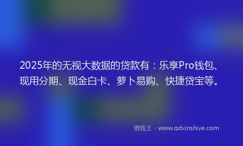 2025年的无视大数据的贷款有：乐享Pro钱包、现用分期、现金白卡、萝卜易购、快捷贷宝等。