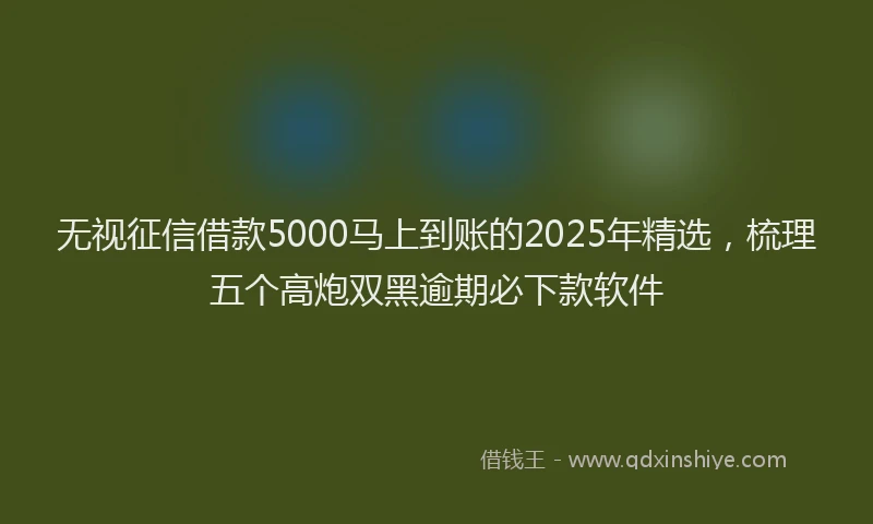 无视征信借款5000马上到账的2025年精选，梳理五个高炮双黑逾期必下款软件